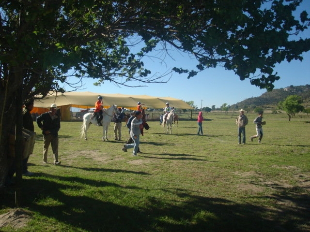  Equestrian activities 